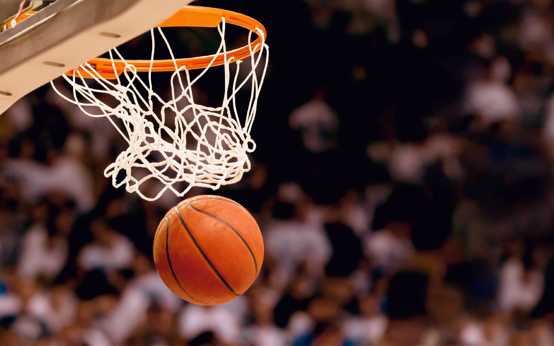 2026 NBA Finals Conclude: New Generation Dominates the Court